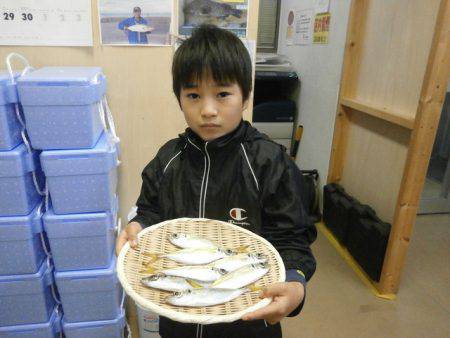 大阪南港海つり公園 釣果