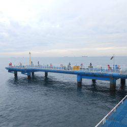 オリジナルメーカー海づり公園(市原市海づり施設) 釣果