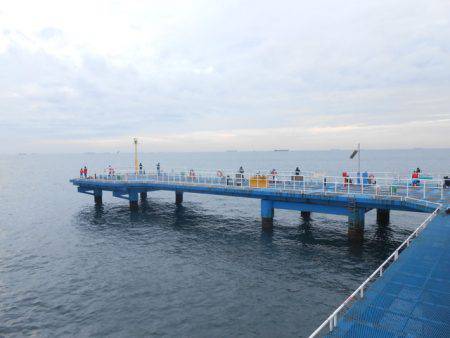 オリジナルメーカー海づり公園(市原市海づり施設) 釣果
