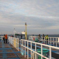 オリジナルメーカー海づり公園(市原市海づり施設) 釣果