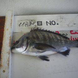 姫路市立遊魚センター 釣果