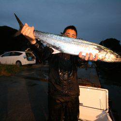 オーシャンズ　京都 釣果
