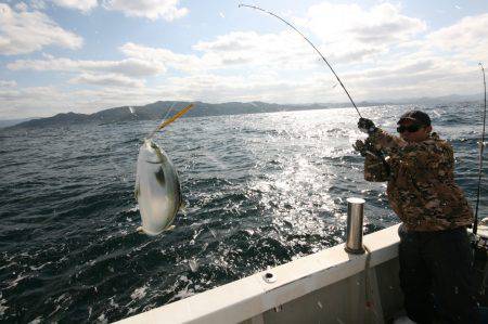 オーシャンズ　京都 釣果