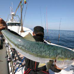 オーシャンズ　京都 釣果