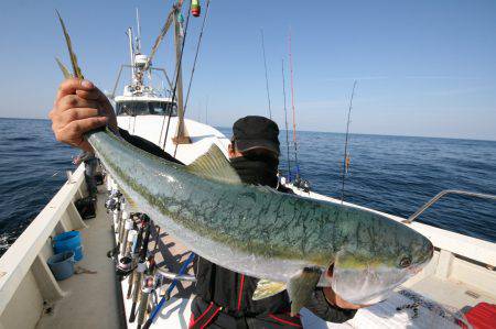 オーシャンズ　京都 釣果