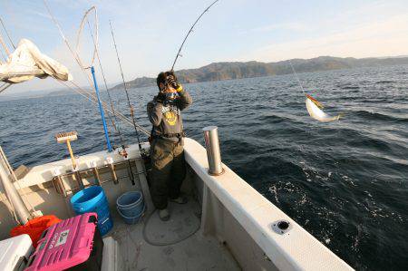 オーシャンズ　京都 釣果