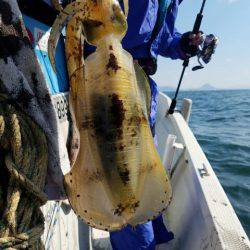 Magic(マジック) 釣果