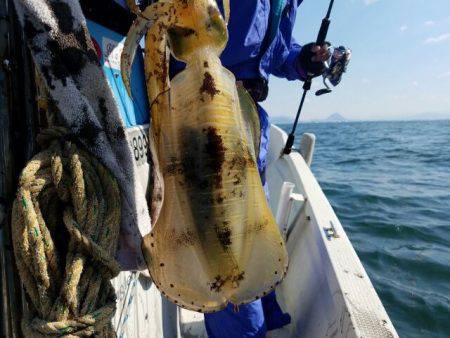 Magic（マジック） 釣果