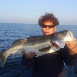 東京湾探釣隊ぼっち 釣果