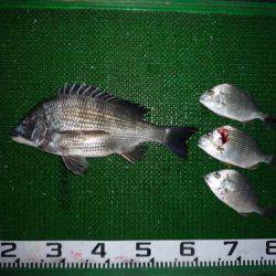 海山フィッシングセンター 釣果