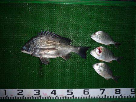 海山フィッシングセンター 釣果