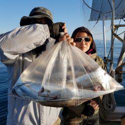 遊漁船　ニライカナイ 釣果