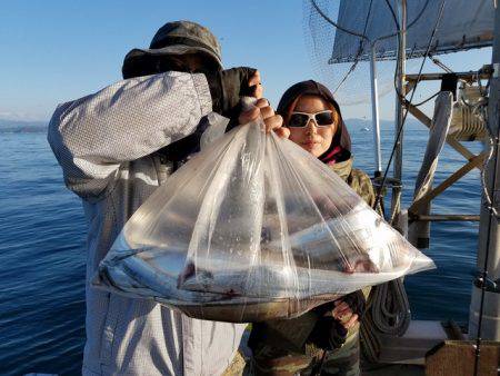 遊漁船　ニライカナイ 釣果