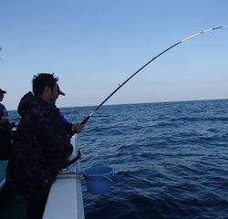 第二むつ漁丸 釣果