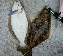 IDATEN（イダテン） 釣果