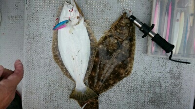 IDATEN（イダテン） 釣果