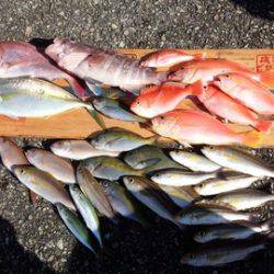 第３浜丸 釣果