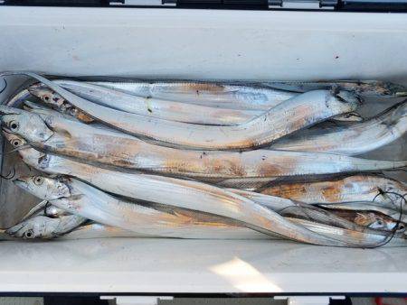 遊漁船　ニライカナイ 釣果