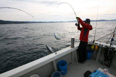 オーシャンズ　京都 釣果