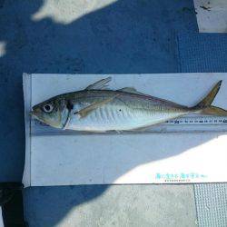 深川 吉野屋 釣果