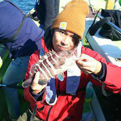 深川 吉野屋 釣果