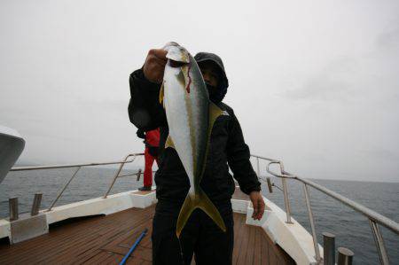オーシャンズ　京都 釣果