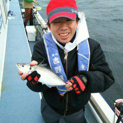 深川 吉野屋 釣果