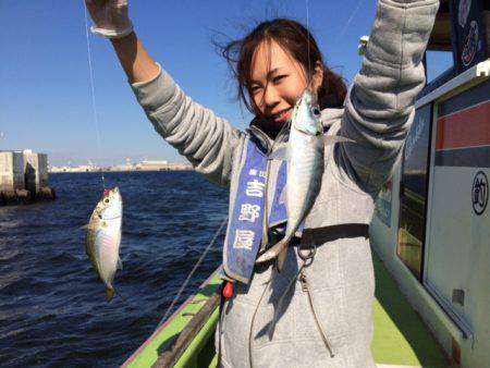 深川 吉野屋 釣果