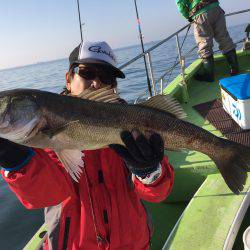 深川 吉野屋 釣果