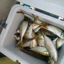 深川 吉野屋 釣果