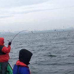 深川 吉野屋 釣果