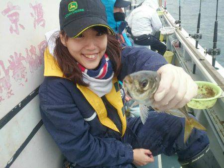 深川 吉野屋 釣果