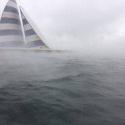 深川 吉野屋 釣果