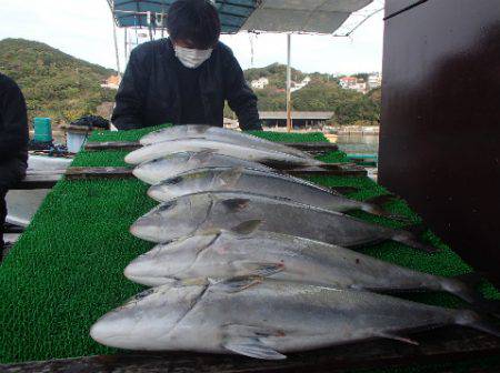 カタタのつり堀 釣果