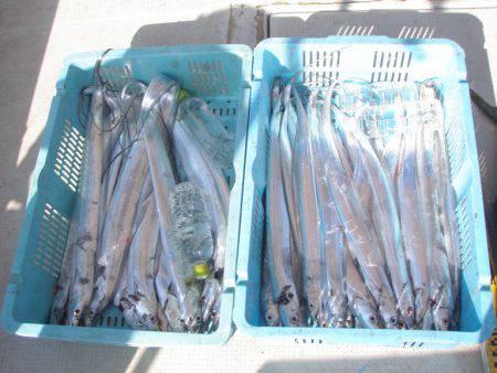 釣り船角田 釣果