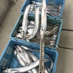 釣り船角田 釣果