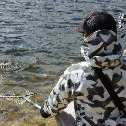 フィッシングレイクたかみや 釣果