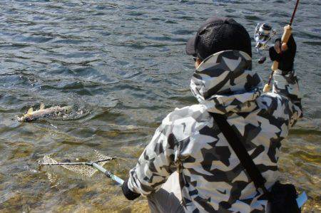 フィッシングレイクたかみや 釣果