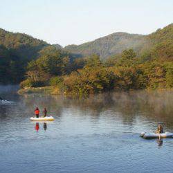 フィッシングレイクたかみや 釣果