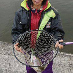 フィッシングレイクたかみや 釣果