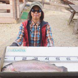 フィッシングレイクたかみや 釣果