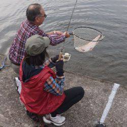フィッシングレイクたかみや 釣果