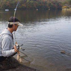フィッシングレイクたかみや 釣果