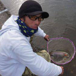 フィッシングレイクたかみや 釣果