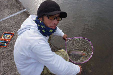 フィッシングレイクたかみや 釣果