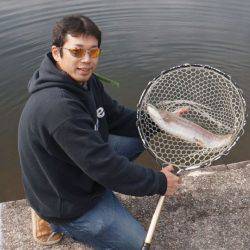 フィッシングレイクたかみや 釣果