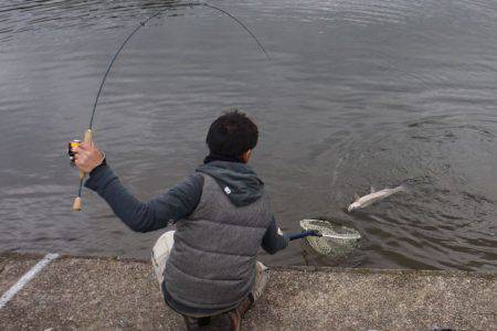 フィッシングレイクたかみや 釣果