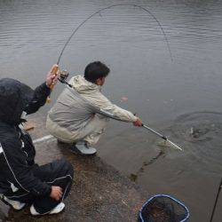 フィッシングレイクたかみや 釣果
