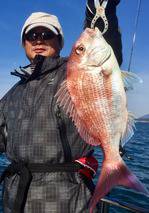 YELLOW-TAIL　イエローテール 釣果