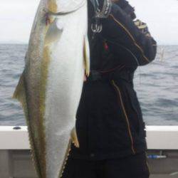Ｙ’ｓ 釣果